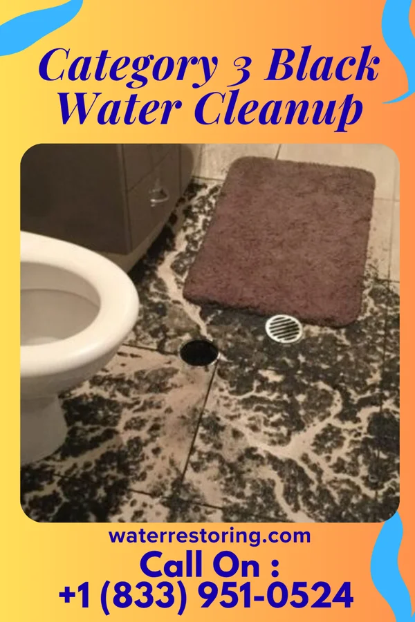 Category 3 Black Water Cleanup in Indian Lake, TX