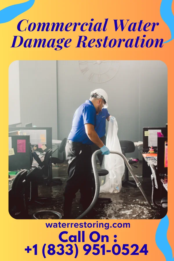 Commercial Water Damage Restoration in Indian Lake, TX